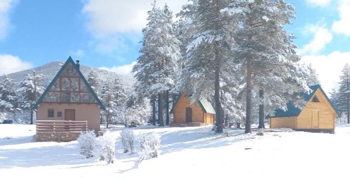 Chalet Cilac Žabljak Exteriör bild