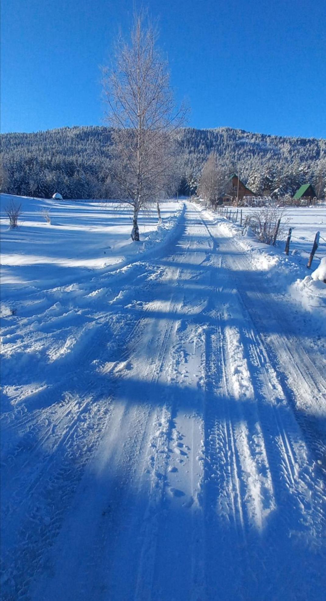Chalet Cilac Žabljak Exteriör bild